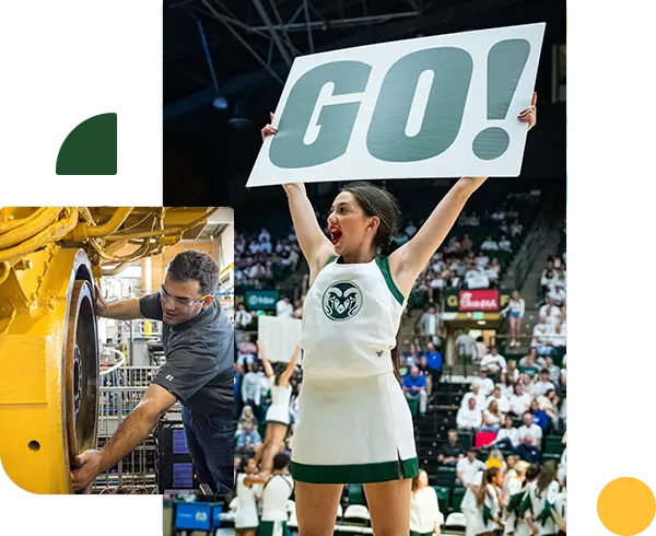 Smaller-Home-Collage-2